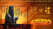 老司机一级片